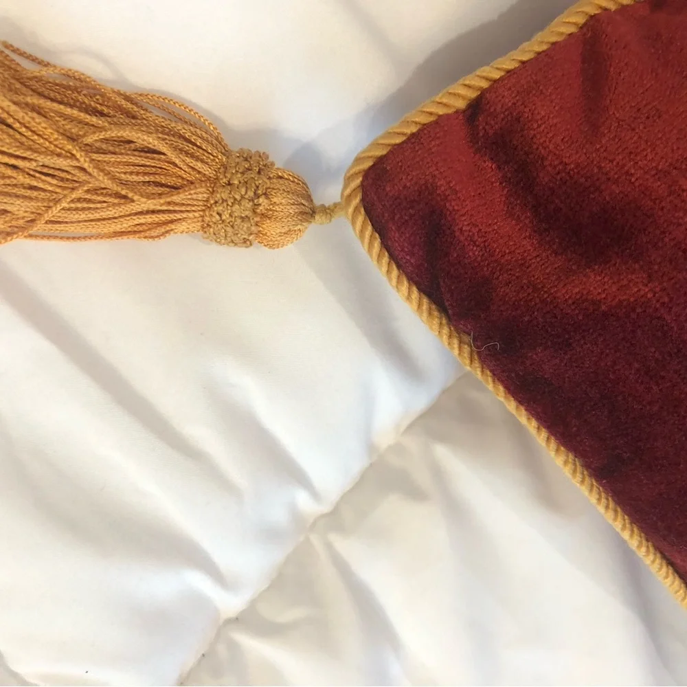 Red Velvet Square Pillow with Gold Tassels plus a leopard pillow